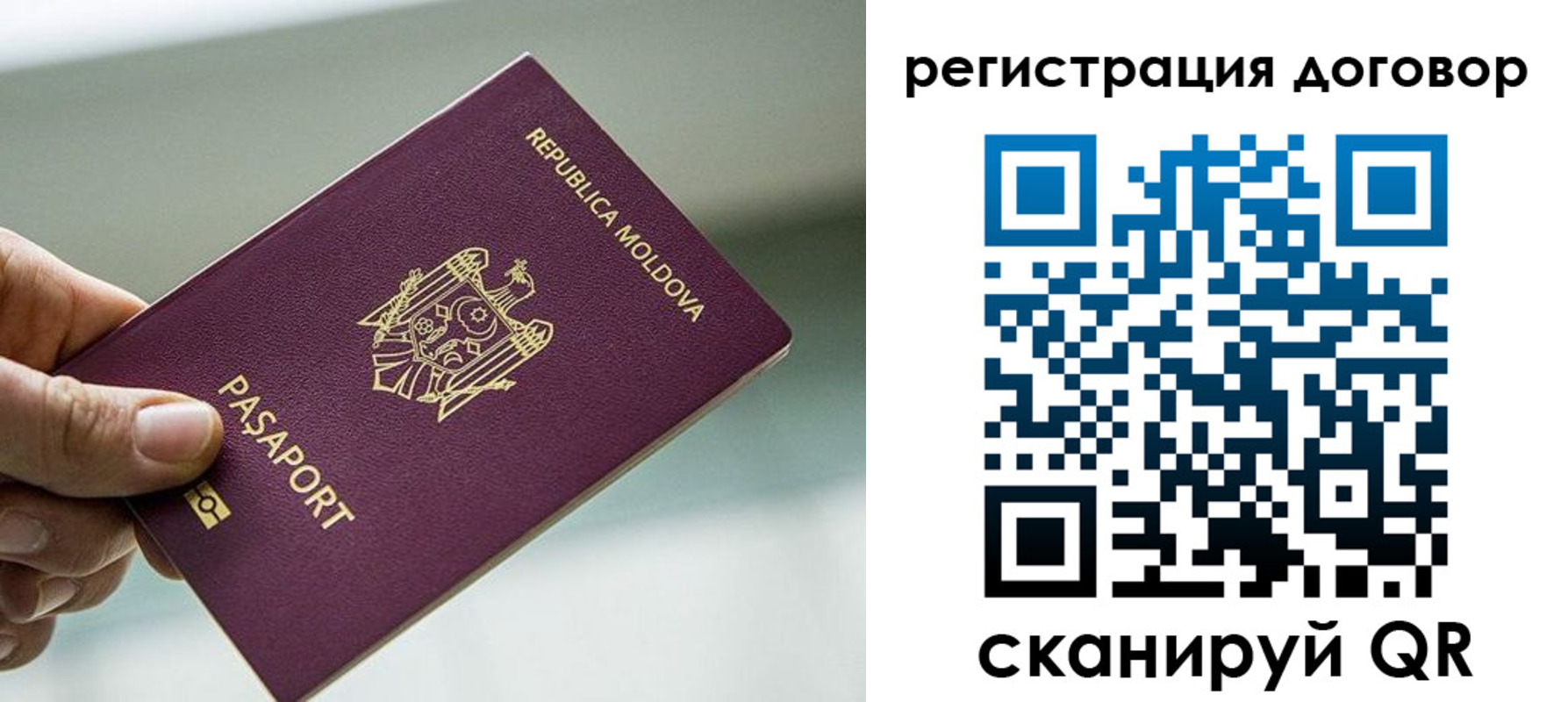 прописка в квартире в Россоши
